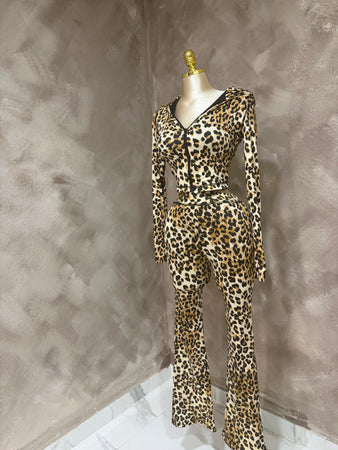 Cheetah Tracksuit